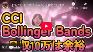 バイナリーオプションサインツール